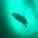 Oakville Divers Scuba pro dive shop
