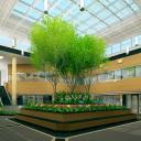 Davis & Davis Interior Design