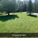 Cut grass