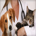 Dermatology & Allergy in Fremont, CA