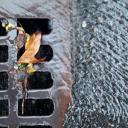 Drain Cleaning
