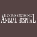 Animal Clinic in Manassas Park, VA