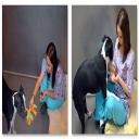 Cat Surgeries in Manassas Park, VA