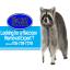 pest control orillia