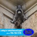 pest control midland