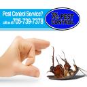 bed bugs alliston