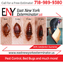 Bed Bug Exterminator