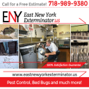 Pest Control in Brooklyn