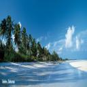 Our team of travel planners can provide great value and expertise to match 