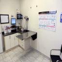 Veterinarian House Calls in Langley, BC
