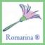 Romarina Cleaning Logo