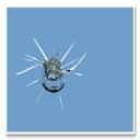 Auto Glass Chip Repairs Powhatan, VA
