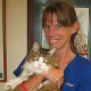 Palencia Pet Clinic