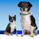 Palencia Pet Clinic