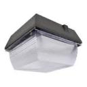 LED Canopy Light