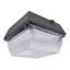 LED Canopy Light