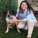 Pet Rehab Littleton, CO