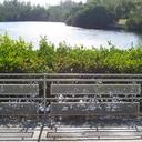 Stainless Steel Exterior Railings