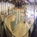 Ollie's Skatepark