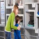 Animal Clinic in Colonial Heights, VA