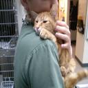 Veterinary Care in Norman, OK