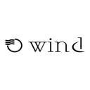 wind downtown miami