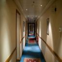 Specialty Coatings