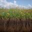 Like the prairie landscape, life may at times feel chaotic or wild...