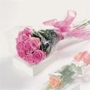 Words On Petals - Pink Roses