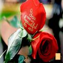 Words On Petals - You are so beautiful to me