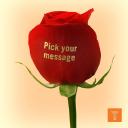 Words On Petals - Pick Your Message