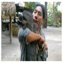 Miami Animal Removal 786-263-2895