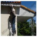 Miami Bee Removal 786-263-2895