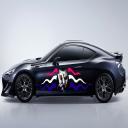 Car Decals Stickers