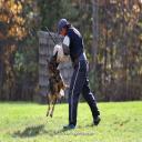 John Soares is an award-winning athlete in the sport of Schutzhund. If youâ