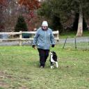Our boarding and training off leash obedience program is the perfect way to