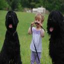Our dog training courses sculpt dogs into family friendly pets that are saf