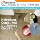 Professional carpet Cleaning