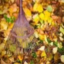 Seasonal Cleanup