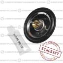Worcester Diaphragm Kit 87161405530