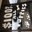 Dog training in Frisco, TX