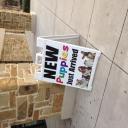 Pet Store in Frisco, TX