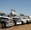 auction photos