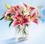 stargazer lilies