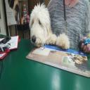 Vet Clinic Pacific Beach