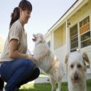 Dog Boarding in Wichita, KS