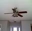 Ceiling Fans