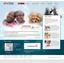 Atomic Motion - Web Design Example