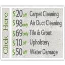 The Carpet Cleaning Dallas TX
