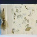 India Leaf photo album